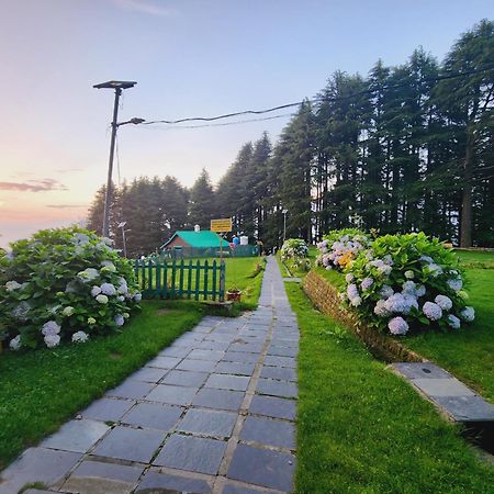 Forest Vibes Kalatop-Rooms And Restaurant Dalhousie Bagian luar foto