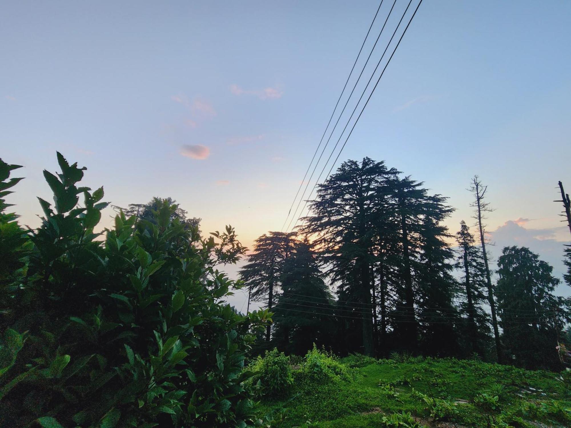 Forest Vibes Kalatop-Rooms And Restaurant Dalhousie Bagian luar foto