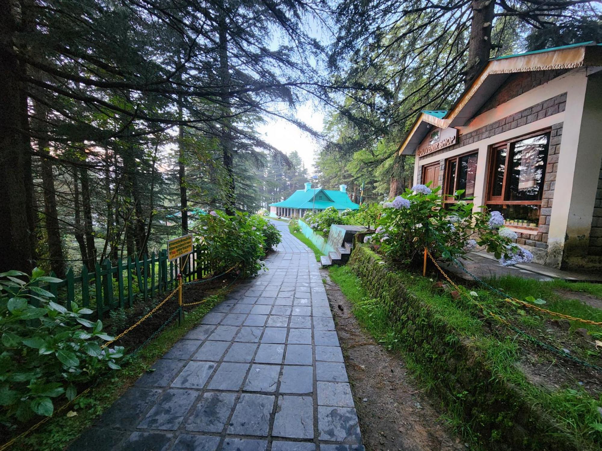 Forest Vibes Kalatop-Rooms And Restaurant Dalhousie Bagian luar foto