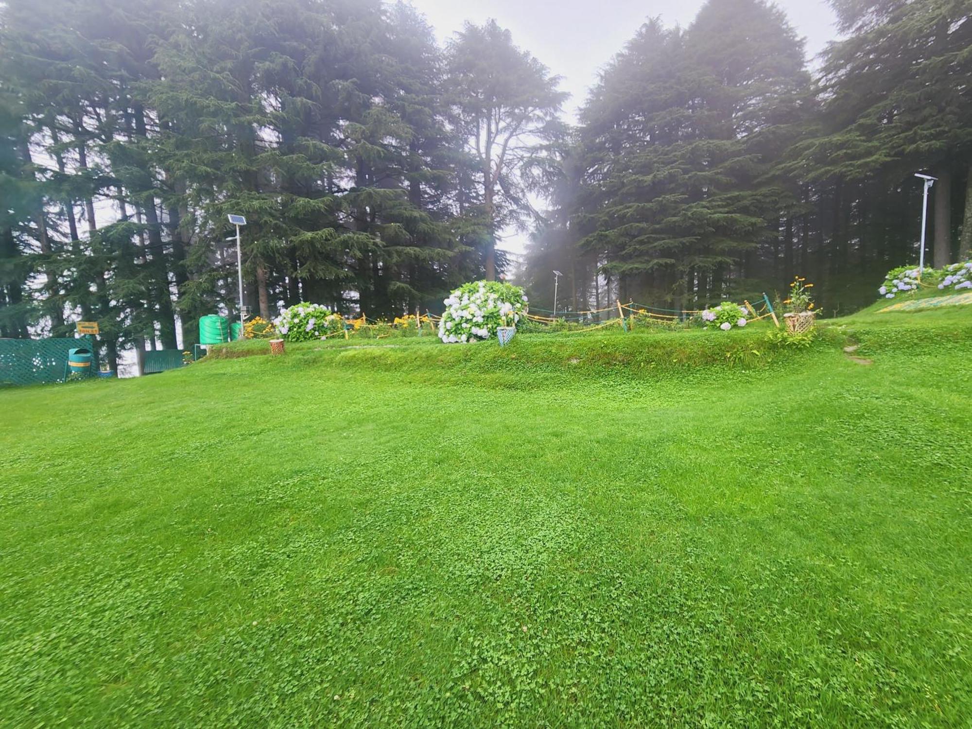 Forest Vibes Kalatop-Rooms And Restaurant Dalhousie Bagian luar foto