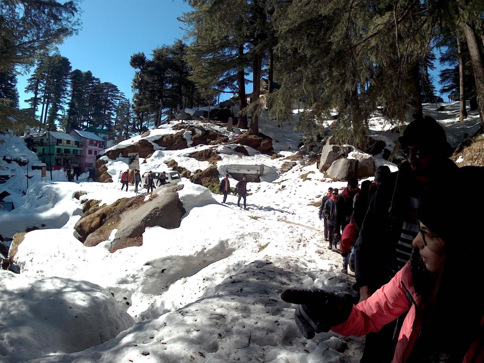 Forest Vibes Kalatop-Rooms And Restaurant Dalhousie Bagian luar foto