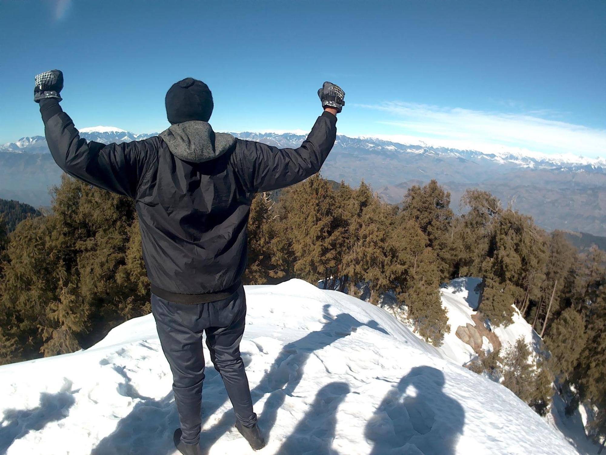 Forest Vibes Kalatop-Rooms And Restaurant Dalhousie Bagian luar foto
