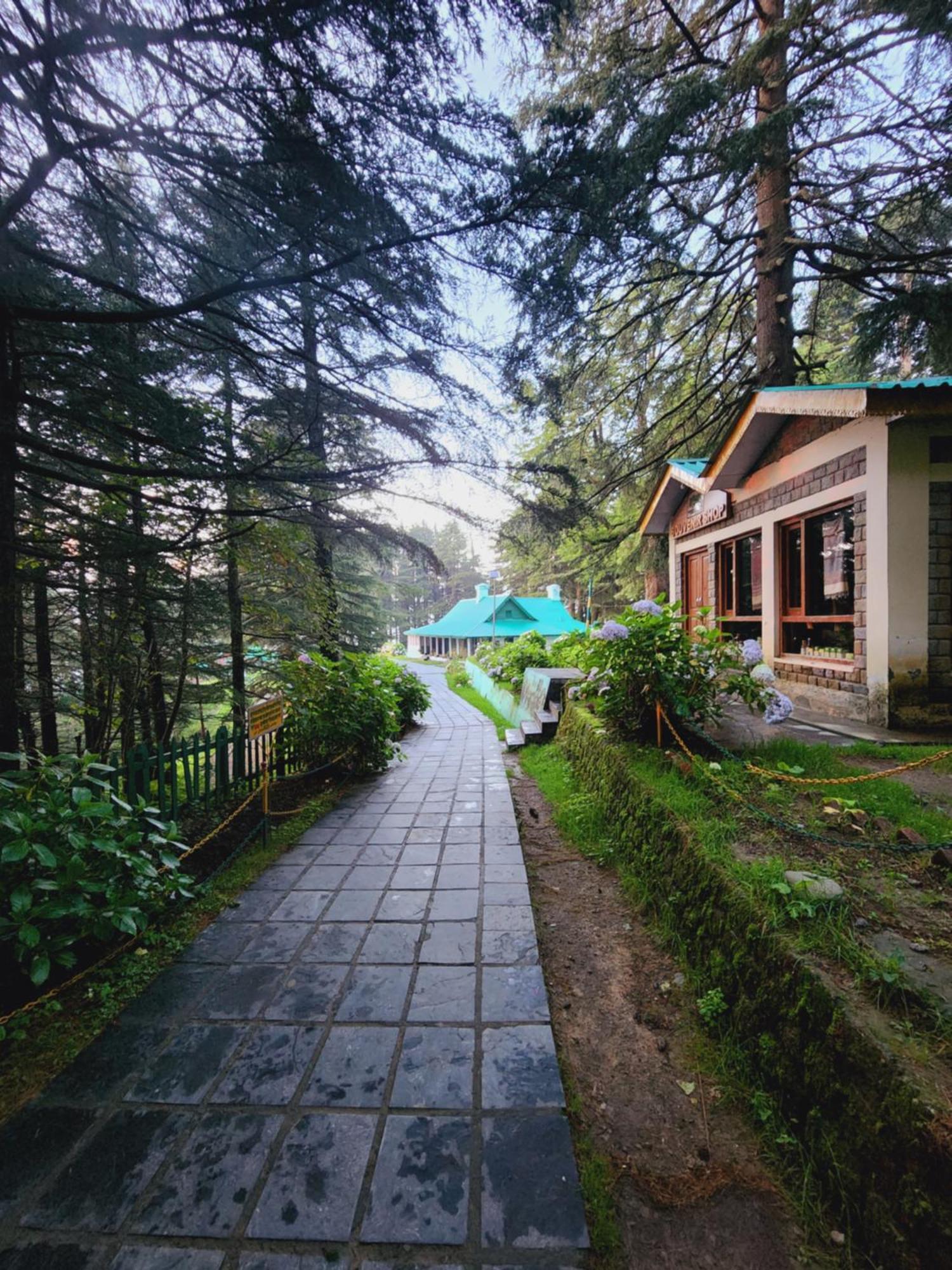 Forest Vibes Kalatop-Rooms And Restaurant Dalhousie Bagian luar foto