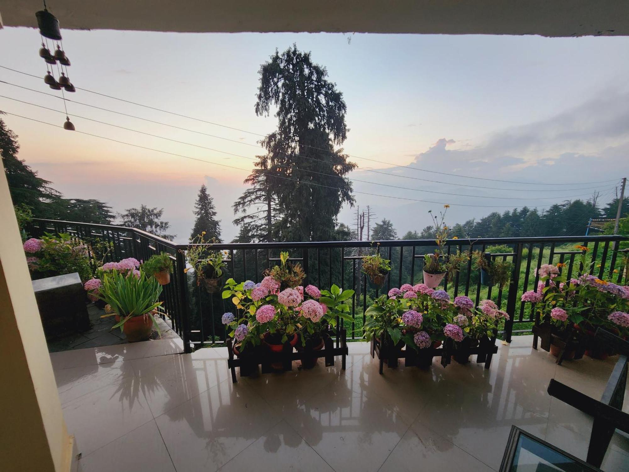 Forest Vibes Kalatop-Rooms And Restaurant Dalhousie Bagian luar foto